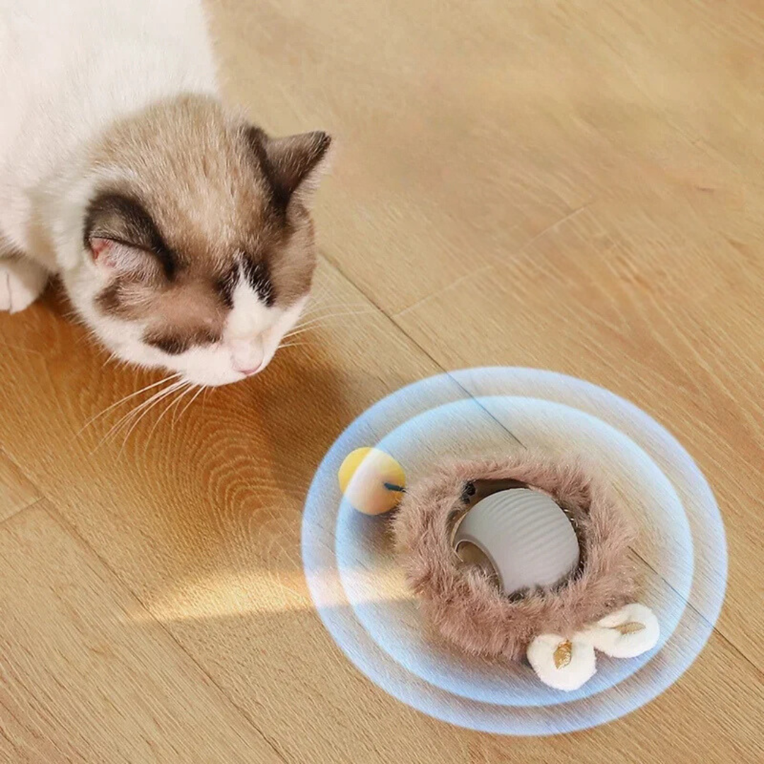 Interaktiver Spielball mit Schwanz für Katzen